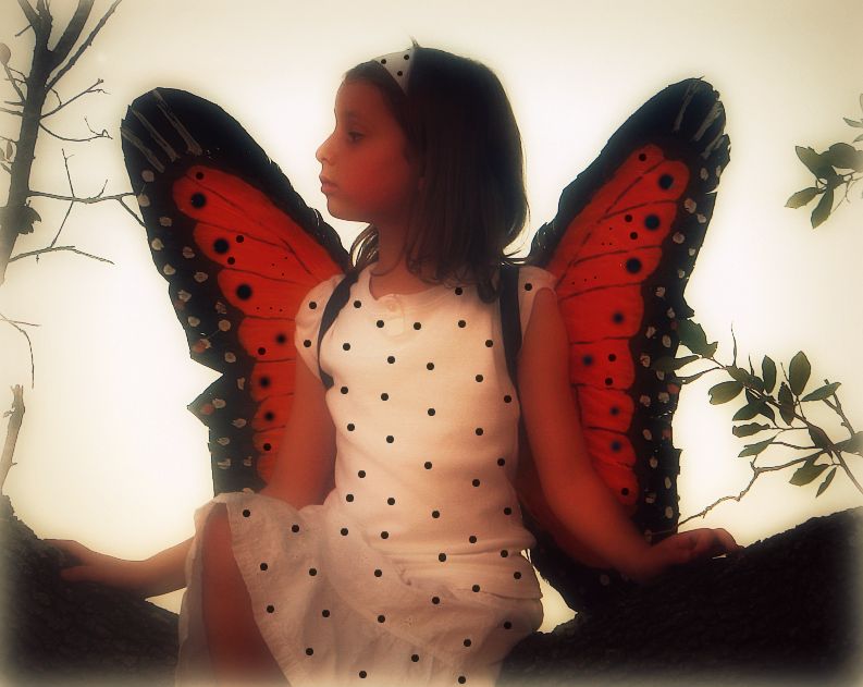 Sveva butterfly polka-dots